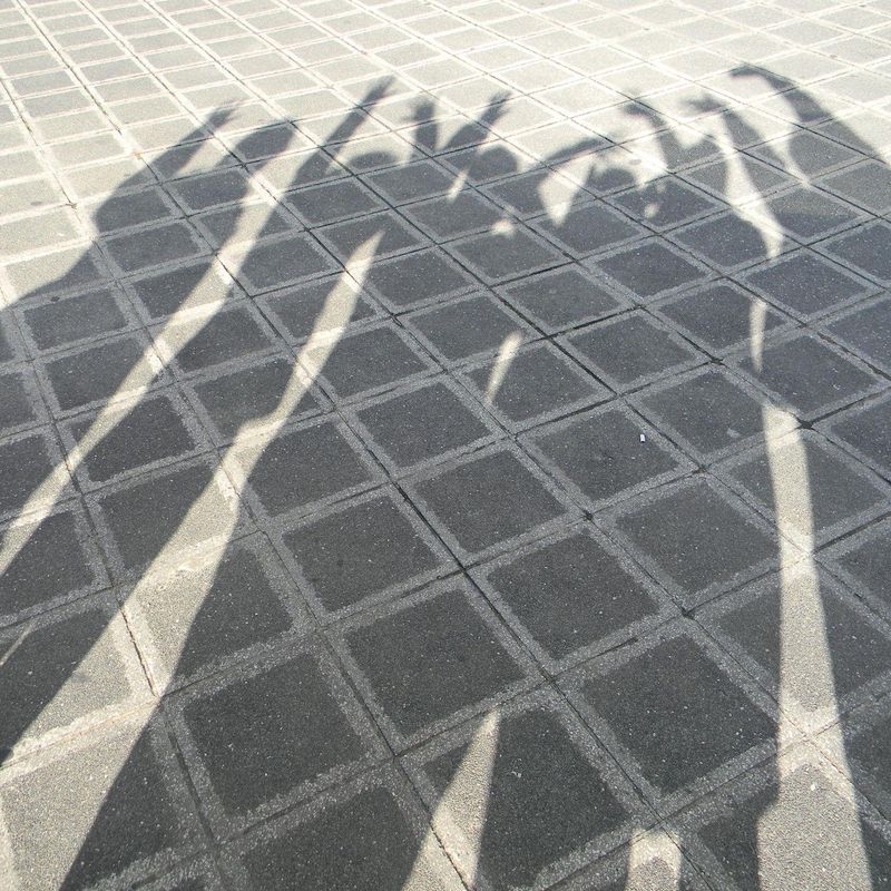 Die Schatten von einer Gruppe von Leuten die ihre Hände in der Luft haben 