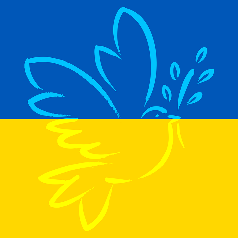 Auf einer ukrainischen Flagge ist eine Friedenstaube abgebildet.